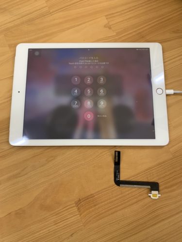 6-%e3%83%89%e3%83%83%e3%82%af%e3%82%b3%e3%83%8d%e3%82%af%e3%82%bf%e3%80%80%e9%b6%b4%e3%83%b6%e5%b3%b6%e3%80%8020210324